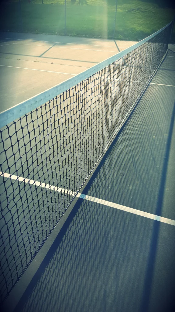 The Building of Pickleball Court cost