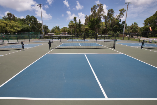 Pickleball court colors