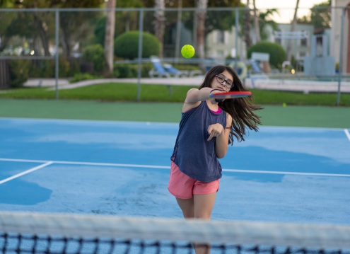 The Art of Converting Tennis Courts to Pickleball Paradises