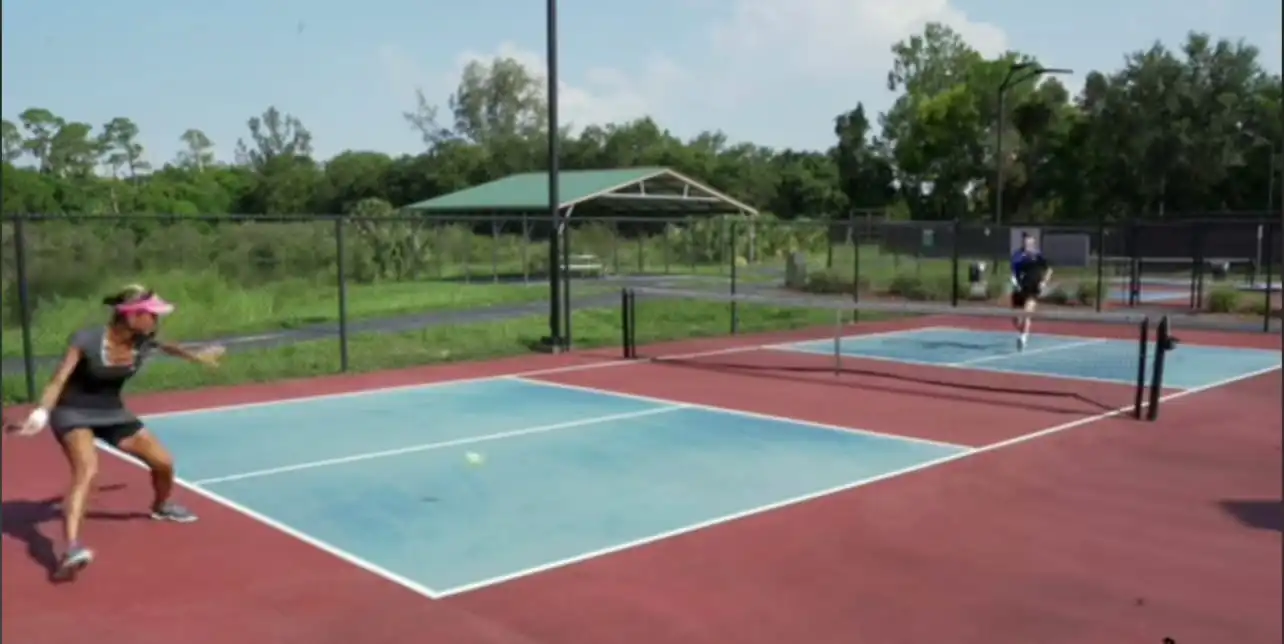 Proper Volley Technique in Pickleball This fast-paced shot, enforced before the ball bounces, can be a powerful tool in your arsenal, especially when performed with a graphite paddle.