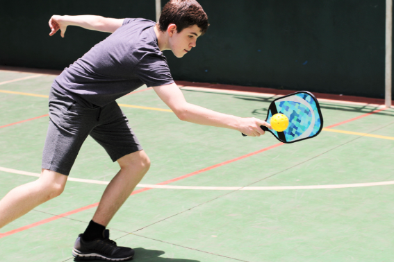 Excercise pickleball